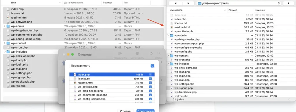 Копируем файлы для обновления версии ворпдрпресс